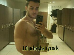 10incheshairycock