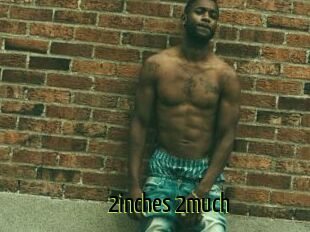 2inches_2much