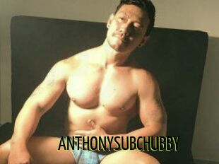 ANTHONYSUBCHUBBY