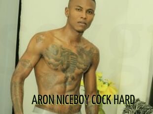 ARON_NICEBOY_COCK_HARD