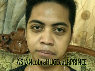 ASIANcobraHUGEcockPRINCE