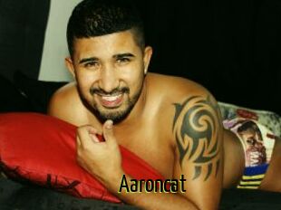 Aaroncat