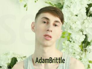 AdamBrittle