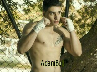 AdamBull