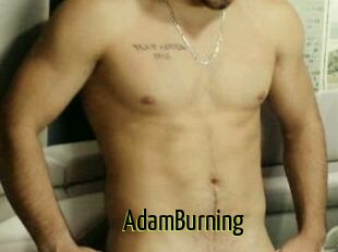 AdamBurning