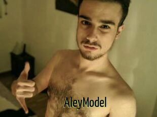 AleyModel