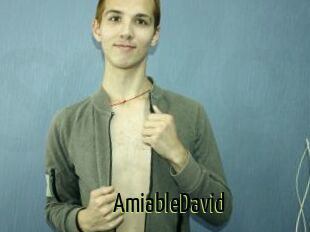 AmiableDavid