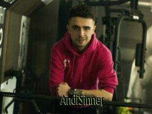 AndiSinner
