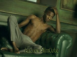 AndrewSlimCute
