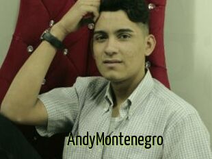 AndyMontenegro