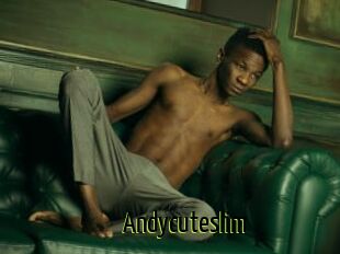 Andycuteslim