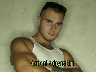 Antoni_adrenal1n