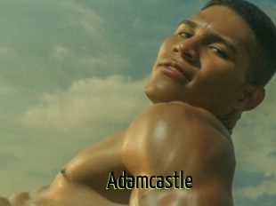 Adamcastle