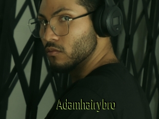 Adamhairybro