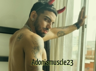 Adonismuscle23