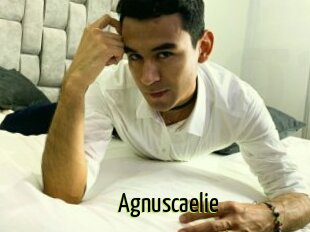 Agnuscaelie