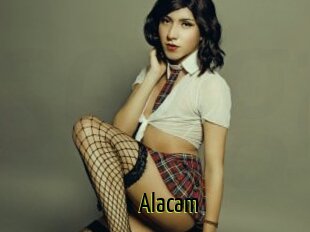 Alacam