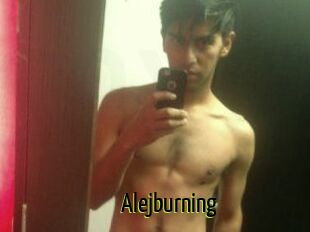 Alejburning