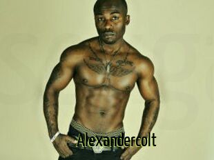 Alexandercolt