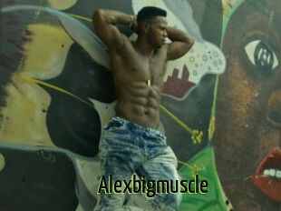 Alexbigmuscle