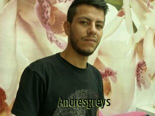 Andresgreys