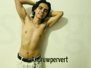 Andruwpervert