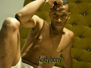 Andybony