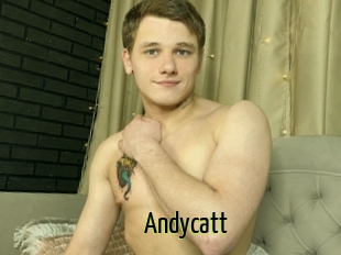 Andycatt