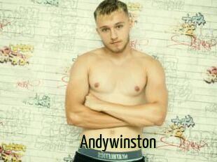 Andywinston