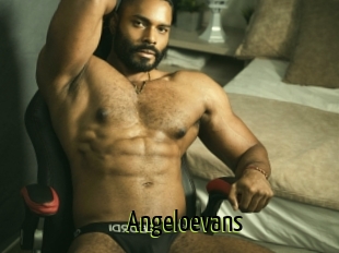 Angeloevans