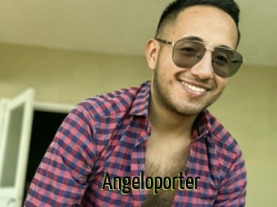 Angeloporter