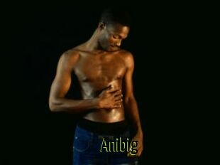 Anibig