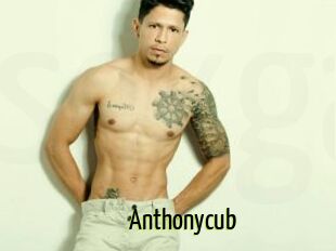 Anthonycub