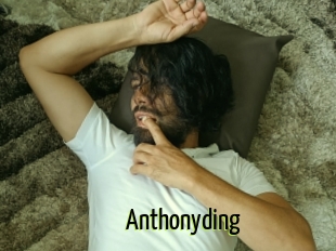 Anthonyding