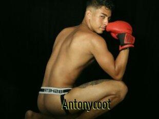 Antonycoot