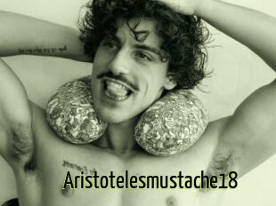 Aristotelesmustache18