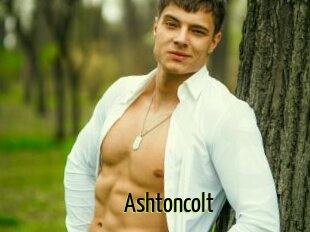 Ashtoncolt