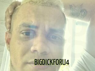 BIGDICKFORU4
