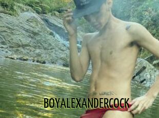 BOYALEXANDERCOCK