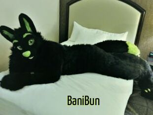 BaniBun