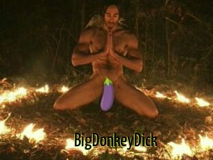 BigDonkeyDick
