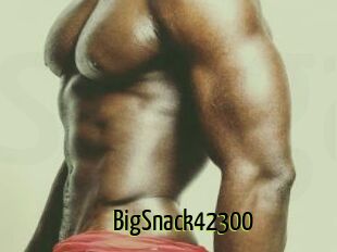 BigSnack42300