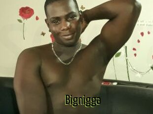 Bignigga