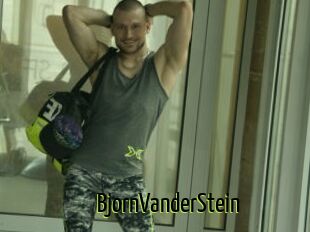 BjornVanderStein