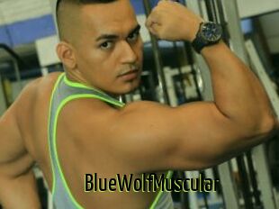 BlueWolfMuscular