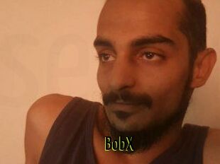 BobX