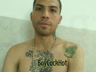 BoyCockHot