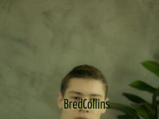 BredCollins