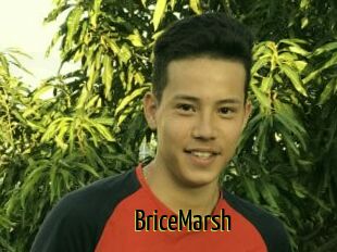 BriceMarsh