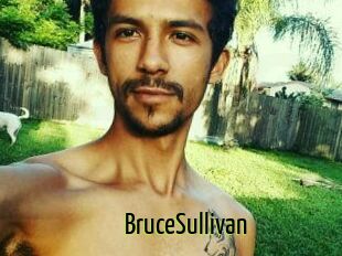 Bruce_Sullivan